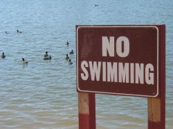 No Swimming.JPG